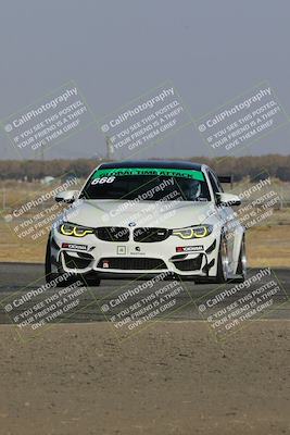 media/Nov-11-2023-GTA Finals Buttonwillow (Sat) [[117180e161]]/Group 2/Wall Paper Shots/